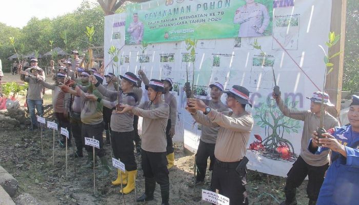 Polres Sumenep Saat Melakukan Penanaman 1.000 Pohon Mangrove di Kecamatan Saronggi