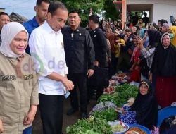 Presiden Tinjau Bahan Pokok di Pasar Cekkeng Bulukumba
