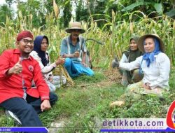Pemkab Sumenep Jamin Perlindungan Petani Tembakau dengan Asuransi Ketenagakerjaan