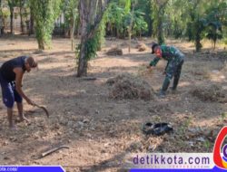 Babinsa Giligenting Bantu Petani Bersihkan Lahan Untuk Tanam Jagung
