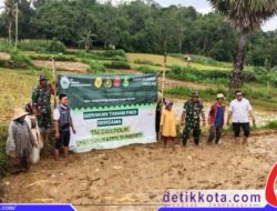 TNI Dukung Gerakan Tanam Padi di Pasongsongan
