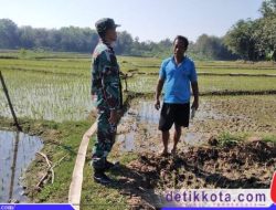 Babinsa Klego Ajak Petani Desa Karangmojo Untuk Percepat Masa Tanam