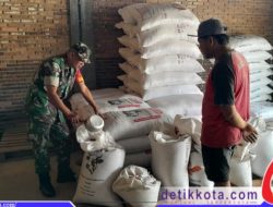 Babinsa Cepogo Lakukan Pengecekan Ketersediaan Pupuk Di Wilayah