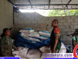 Dukung Swasembada Pangan Babinsa Klego Lakukan Pengecekan Pupuk Di Desa Gondanglegi