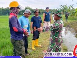 Babinsa Nogosari Bantu Optimalkan Saluran Irigasi Untuk Petani