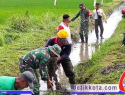Koramil Nogosari Normalisasi Irigasi Bersama Warga Desa Rembun