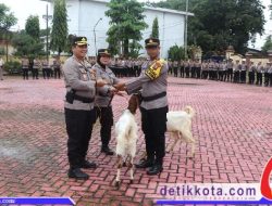 Dukung Ketahanan Pangan, Kapolres Sumenep Serahkan Bantuan 54 Ekor Kambing ke Polsek Jajaran