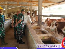 Dandim 0827/Sumenep Letkol Inf Yoyok Wahyudi Silaturahmi Dengan Peternak Sapi di Rubaru
