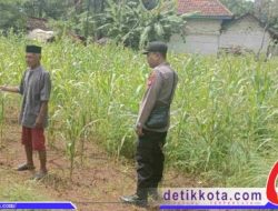 Gugus Tugas Ketahanan Pangan Monitoring Kegaiatan Pertanian Desa Binaannya