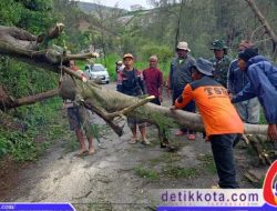 Babinsa Selo Bersama Warga Evakuasi Pohon Tumbang yang Menutupi Jalan
