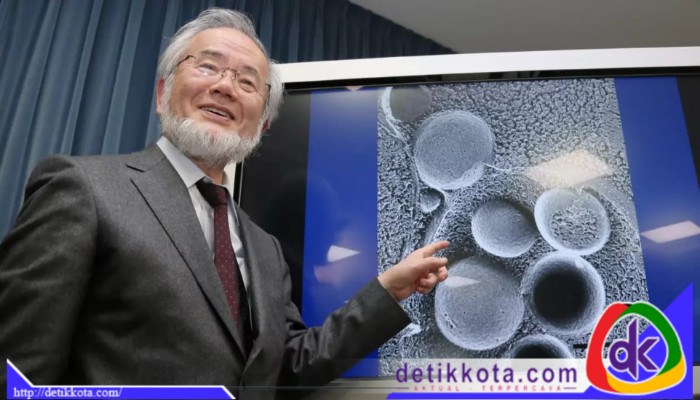 Japanese scientist Yoshinori Ohsumi in Tokyo in 2015. (Jiji Press/AFP-Getty Images)