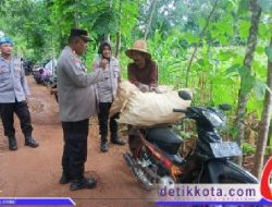 Dukung Swasembada Pangan Nasional, Kapolsek Talango Sumenep Bersama Korluh Gelar Sosialisasi Perawatan Tanaman Jagung