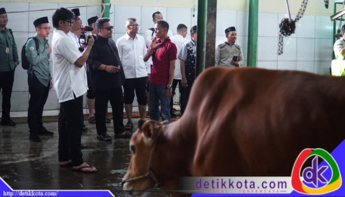 Bupati Subang Reynaldy Putra Andita bersama Wakil Bupati Subang Agus Masykur Rosyadi menyaksikan secara langsung proses penyembelihan hewan kurban di Rumah Potong Hewan (RPH) Cigadung, Subang, pada Jumat (06/06/2025).