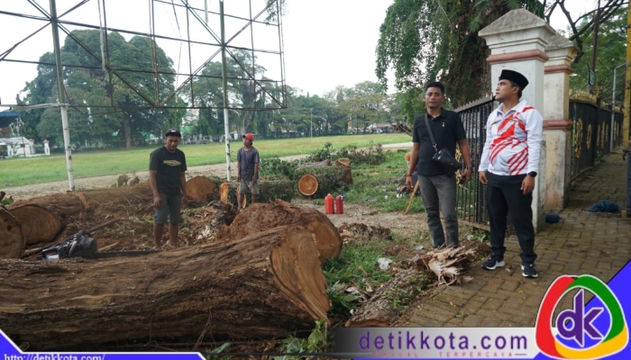 Bupati Bangkalan, Lukman Hakim, melakukan peninjauan langsung terhadap proses pemugaran sejumlah pohon tua di kawasan Alun-Alun Bangkalan, Kamis (3/7/2025).