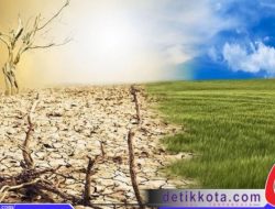 Cuaca Jatim Relatif Stabil di Masa Pancaroba, BMKG Imbau Masyarakat Tetap Waspada