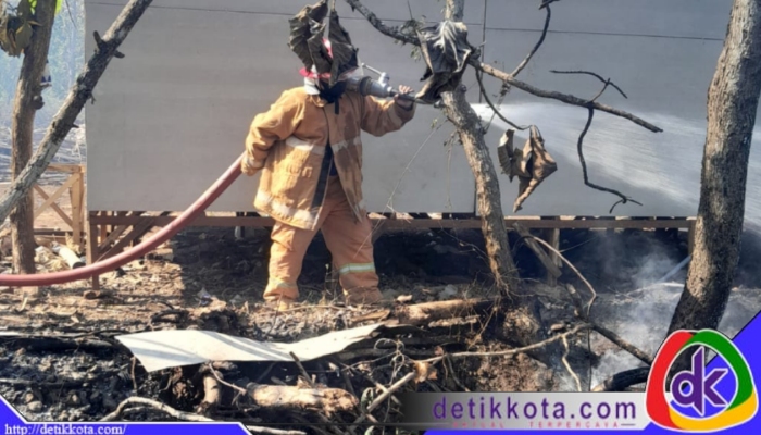 Petugas damkar memadamkan kebakaran lahan. (Foto: Karimata)