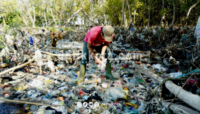 Sampah plastik ini berasal dari Sungai Brantas, menyangkut di perakaran mangrove, terjebak, dan melilit akar mangrove. Foto: Ecoton for JatimNow.com