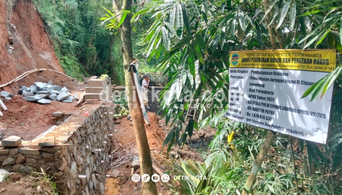 Kondisi proyek drainase dan jaringan irigasi di Desa Mekarjaya, Kiarapedes, Purwakarta.