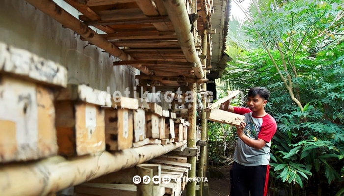 Andri Fahruzi, pemuda Desa Bedayu, Kecamatan Senduro, saat menunjukkan kotak budidaya lebah klanceng di pekarangan rumahnya.
