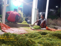 32 Gudang Ajukan Pembelian Tembakau ke Disperindag Pamekasan