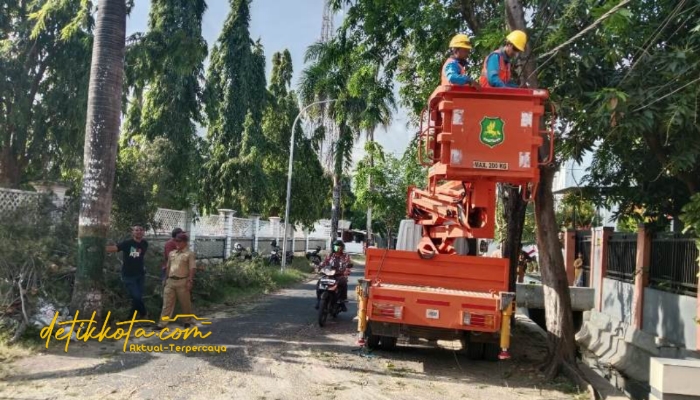Petugas DLH Sumenep memangkas ranting pohon yang menjulur ke jaringan listrik di Jalan Setia Budi, Kelurahan Pajagalan, Selasa (2/9/2025).