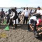 Bupati Banyuwangi Ipuk Fiestiandani bersama relawan saat membersihkan sampah di Pantai Seranite.