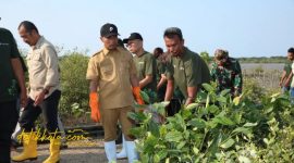 Bupati Bangkalan Lukman Hakim bersama warga menanam bibit mangrove di pesisir Desa Tolbuk dan Ko’ol, Kecamatan Klampis.