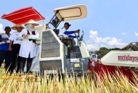 Bupati Banyuwangi Ipuk Fiestiandani berdialog dengan petani di Desa Mangir, Kecamatan Rogojampi, Rabu (24/9/2025).
