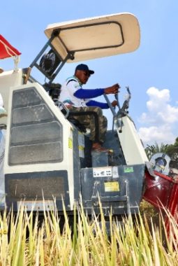 Program Ketahanan Pangan Presiden Prabowo Dongkrak Produksi Pertanian Banyuwangi