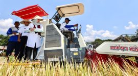 Bupati Banyuwangi Ipuk Fiestiandani berdialog dengan petani di Desa Mangir, Kecamatan Rogojampi, Rabu (24/9/2025).