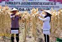 Kapolda Jatim Irjen Nanang Avianto dan Bupati Banyuwangi Ipuk Fiestiandani memimpin panen raya jagung serentak di Lingkungan Wonosari, Kelurahan Sobo, Banyuwangi, Sabtu (27/9/2025).