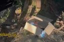 Lokasi penemuan bayi perempuan di pinggir jalan Desa Srambah, Kecamatan Proppo, Pamekasan, Kamis (03/10/2025) malam.