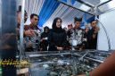 Bupati Banyuwangi Ipuk Fiestiandani bersama pelaku industri udang saat membuka Forum Shrimp Fair 2025 di Banyuwangi.