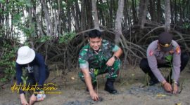 Dandim 0827/Sumenep Letkol Arm Bendi Wibisono bersama komunitas GEN Sumenep menanam bibit mangrove di pesisir Desa Kalianget Barat, Jumat (24/10/2025).