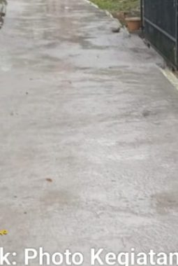 Pembangunan Rabat Beton di Desa Pusakamulya Dimulai, Dorong Akses dan Ekonomi Warga