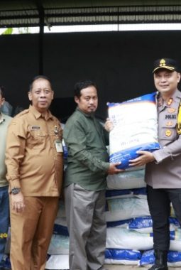 Pemkab Sumenep Salurkan Bibit Jagung Unggul untuk 655 Kelompok Tani