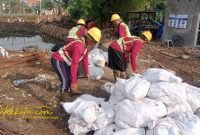 Petugas BPBD Surabaya melakukan simulasi penanganan pohon tumbang dan genangan air di beberapa titik kota, Minggu (26/10/2025).