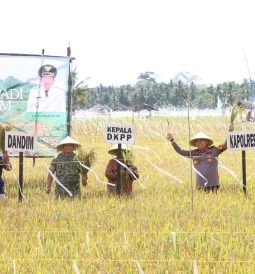 Kapolres Sumenep Hadiri Panen Raya Padi, Dukung Program Swasembada Pangan Nasional