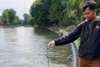 Petugas Dinas Lingkungan Hidup (DLH) Kota Surabaya saat mengambil sampel air di saluran Banyu Urip untuk uji kualitas air.