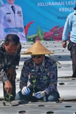 Wali Kota Malang Tanam 3.000 Bibit Cabai untuk Kendalikan Inflasi Daerah