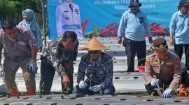 Wali Kota Malang Wahyu Hidayat bersama TPID menanam cabai di Kelurahan Lesanpuro, Kecamatan Kedungkandang, Jumat (7/11/2025).