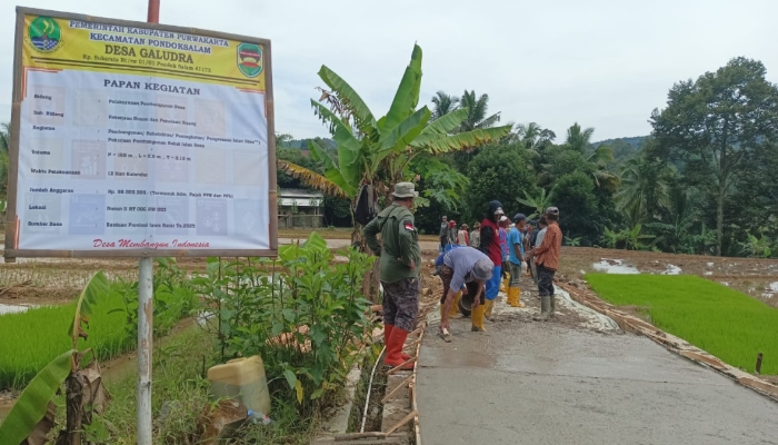 foto slider headline