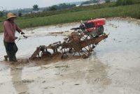 Petani di Kabupaten Sumenep mulai mengolah lahan sawah menjelang musim tanam padi.
