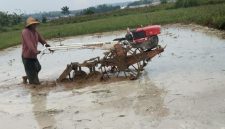 Petani di Kabupaten Sumenep mulai mengolah lahan sawah menjelang musim tanam padi.