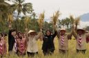 Bupati Banyuwangi Ipuk Fiestiandani bersama jajaran Forkopimda meninjau area panen padi di Banyuwangi.