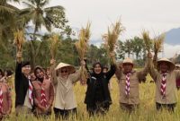 Bupati Banyuwangi Ipuk Fiestiandani bersama jajaran Forkopimda meninjau area panen padi di Banyuwangi.