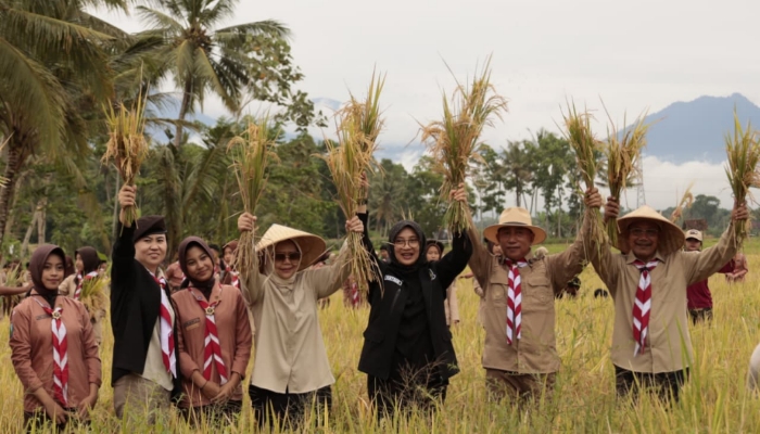 Bupati Banyuwangi Ipuk Fiestiandani bersama jajaran Forkopimda meninjau area panen padi di Banyuwangi.