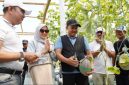 Bupati Pasuruan Rusdi Sutejo saat menghadiri panen raya melon hidroponik BUMDes Sari Mandiri di Greenhouse Melon Desa Nogosari, Pandaan.