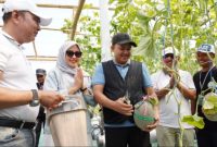Bupati Pasuruan Rusdi Sutejo saat menghadiri panen raya melon hidroponik BUMDes Sari Mandiri di Greenhouse Melon Desa Nogosari, Pandaan.