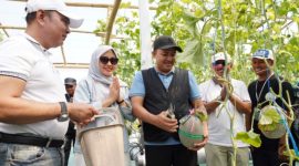 Bupati Pasuruan Rusdi Sutejo saat menghadiri panen raya melon hidroponik BUMDes Sari Mandiri di Greenhouse Melon Desa Nogosari, Pandaan.